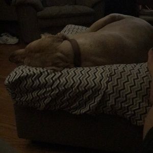 Meet your Posher, Sharon